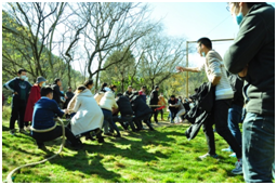 2121非凡国际·(中国)体育官方网站