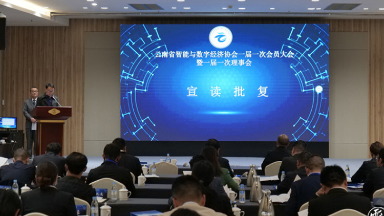 云南省智能与数字经济协会正式成立，，，2121非凡国际科技总司理邵宗翰中选理事会副会长