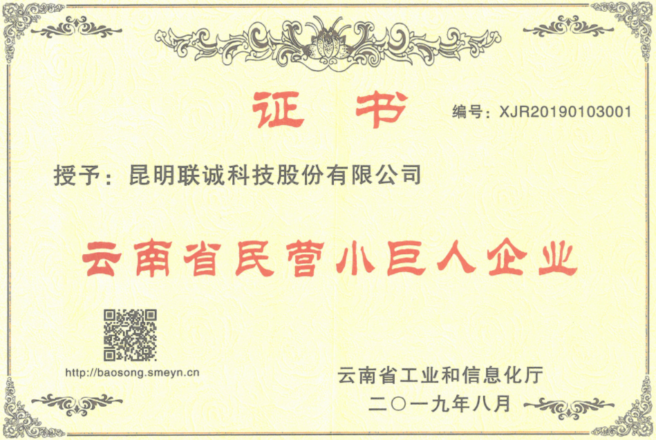 云南省民营小巨人企业